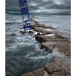 杏仁直播间app一分三