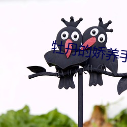 牡丹的娇养手(shǒu)册