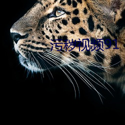 汙穢視頻91