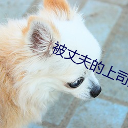 被丈夫的(的)上司沦陷(陷)了在线观(觀)看(看)