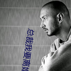 总裁我要离婚