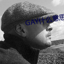 GAY什麽意思