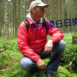 天天摸日(rì)日操