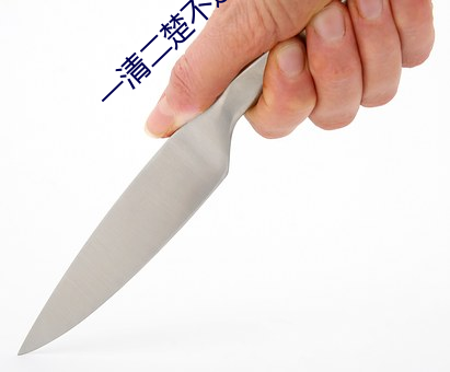 一清二楚不遮不(bù)挡的直播