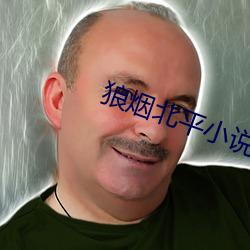 狼烟北(北)平小说