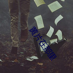 黄片在那里
