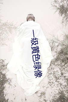 一级黄色绿像(xiàng)