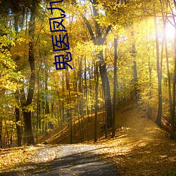 鬼医凤九