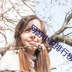 网游小说排行榜