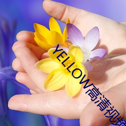 YELLOWƵ(l)()ȫ(ȫ)()