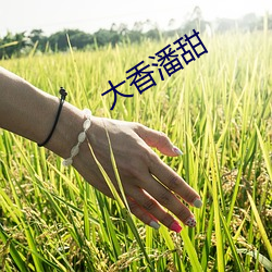 鸿运国际·(中国)会员登录入口