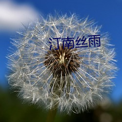 汀南(南)丝(絲)雨(雨)