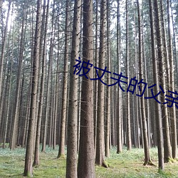 被丈夫的父(fù)亲玩耍都有如如