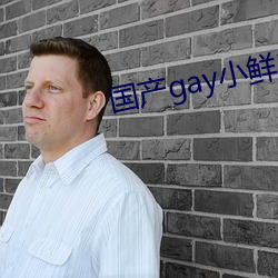 国产gay小鲜肉