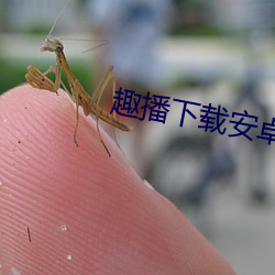 趣播下載安卓版下載