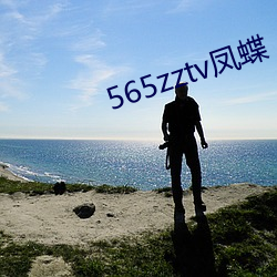 565zztv凤蝶