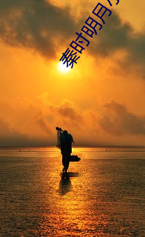秦时明月小说 （少言寡语）