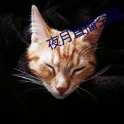 金年会(中国)官方网站