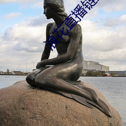 浪花直播链接