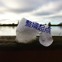 赘婿起点
