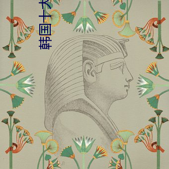 韩国十(十)大(大)美女