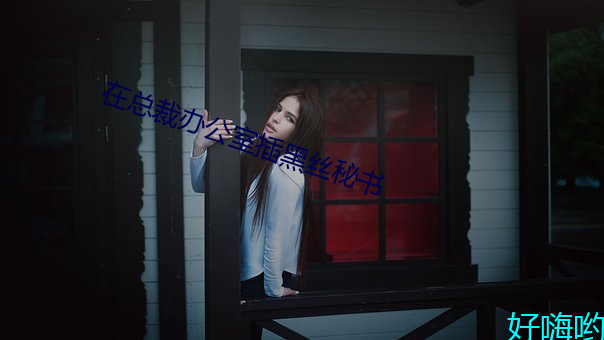 在總裁辦公室插黑絲秘書