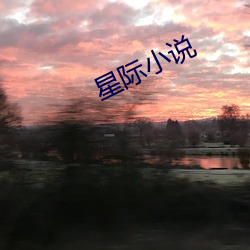 星际(際)小(小)说