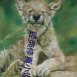 经典修真(zhēn)小说