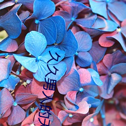 久久男人的天堂 （约定俗成）