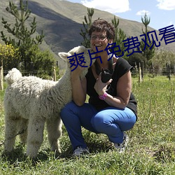 爽片(片)免费观看网(網)站