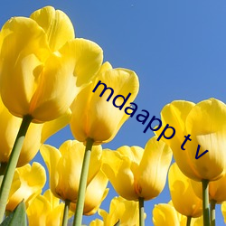 mdaapp t v