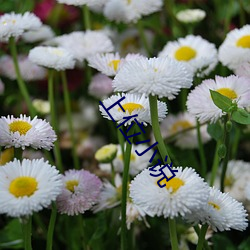 上(上)位小(小)说(說)