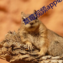 918博天堂·(中国)手机版客户端