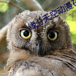 缘分天空(空)动漫在(在)线观(觀)看第二(二)