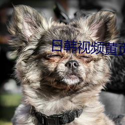日韓視頻黃頁