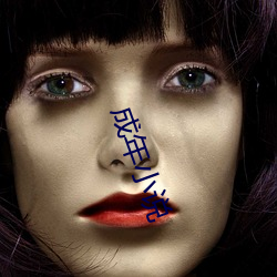 成(chéng)年小(xiǎo)说