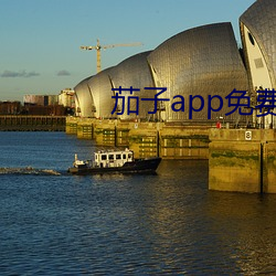 茄子app免费下载