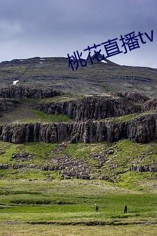 米乐M6·(中国)官方网站