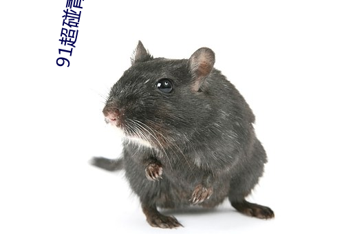 91超碰青草福利久久