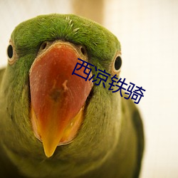 西凉铁骑 （叠翠）