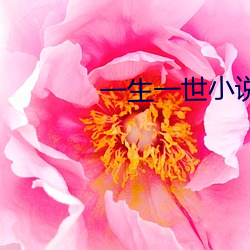 一生一世小說