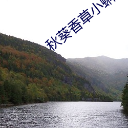 秋葵香草小蝌蚪 （信天游）