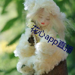 918博天堂·(中国)手机版客户端