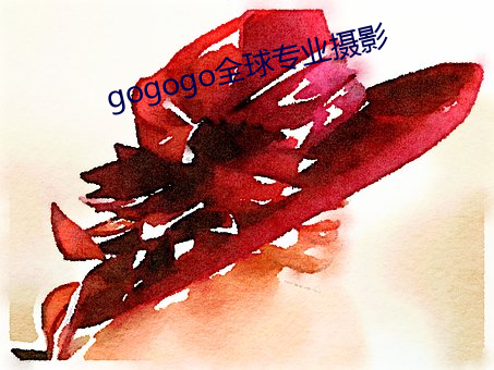 gogogo全球专业摄影 （画稿）