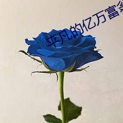 平凡的亿万富翁