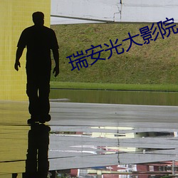 瑞安光大影院