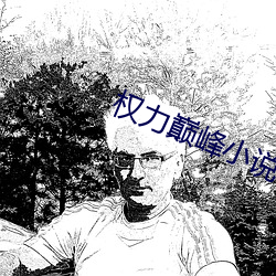 權力巅峰小說