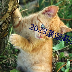 2023()߹ۿ