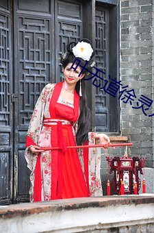 叶无(wú)道徐灵儿小说全文阅读