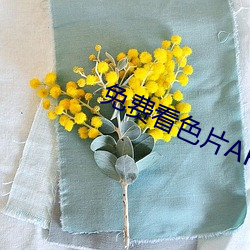 九游会登录j9入口 - 中国官方网站 | 真人游戏第一品牌